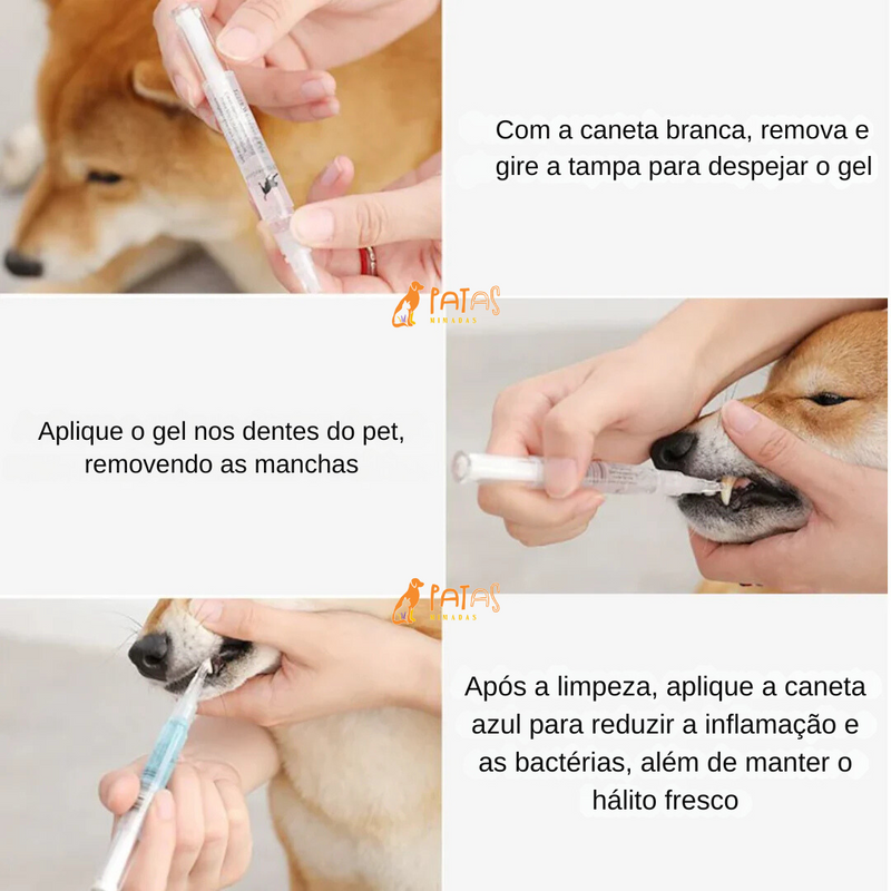 Caneta de Cuidado Dental | PetBrush - Bom Hálito