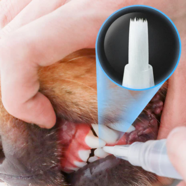 Caneta de Cuidado Dental | PetBrush - Bom Hálito